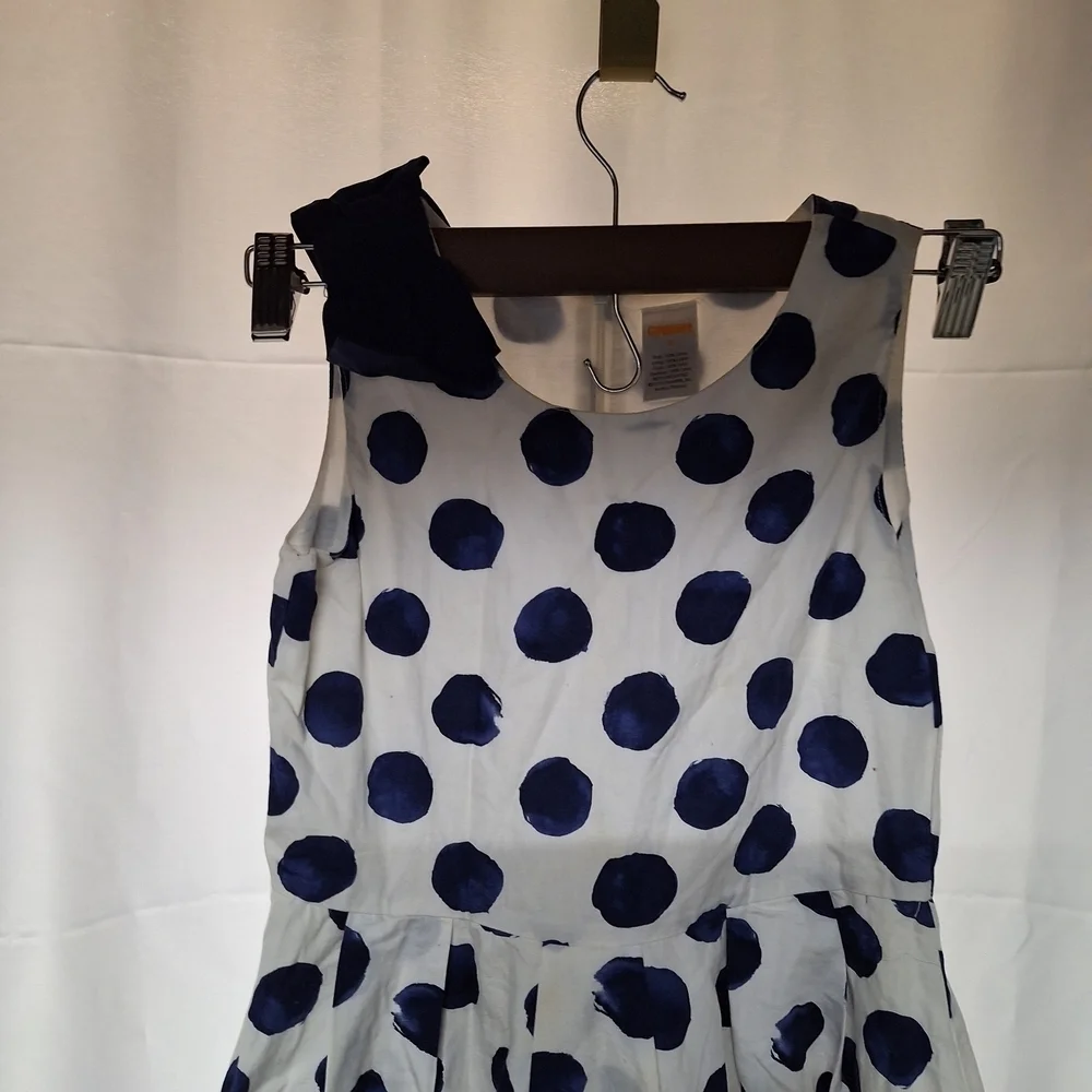 Gymboree Navy and White Polka Dot Dress
